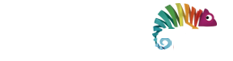 WebFormas - Agência de Marketing Digital em SP